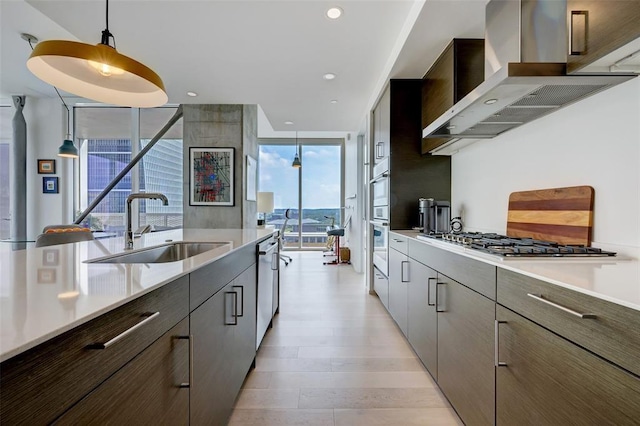 kitchen featuring light wood-style flooring, appliances with stainless steel finishes, range hood, expansive windows, and a sink