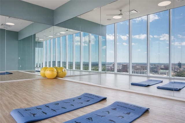 exercise area featuring a city view, plenty of natural light, wood finished floors, and floor to ceiling windows