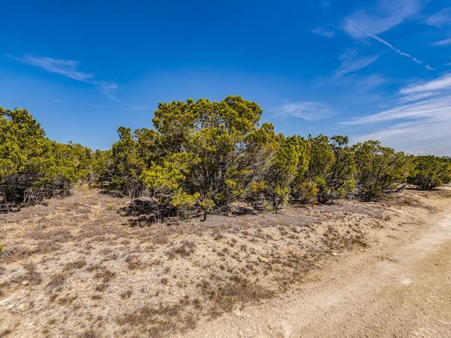 29 Rolling Hills Rd, Wimberley, TX 78676 - photo 1