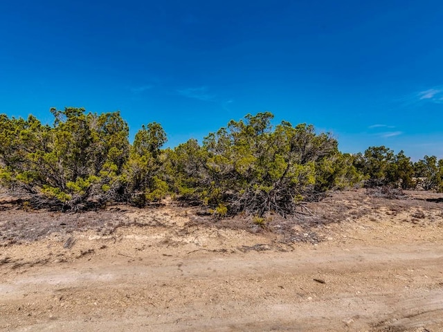 29 Rolling Hills Rd, Wimberley, TX 78676