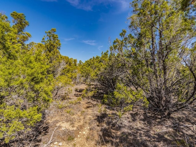 29 Rolling Hills Rd, Wimberley, TX 78676