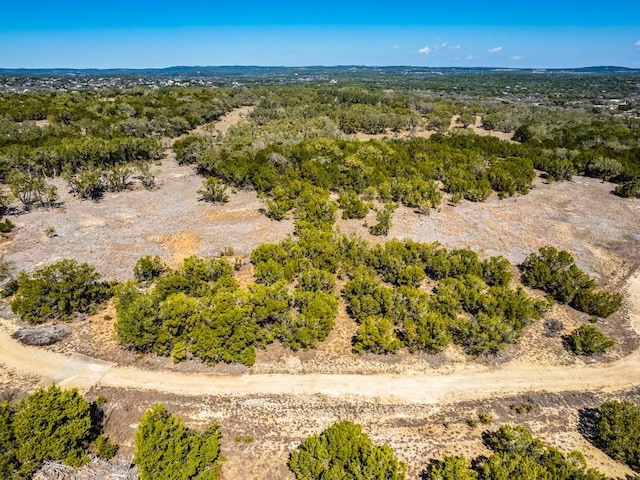 29 Rolling Hills Rd, Wimberley, TX 78676 - photo 7