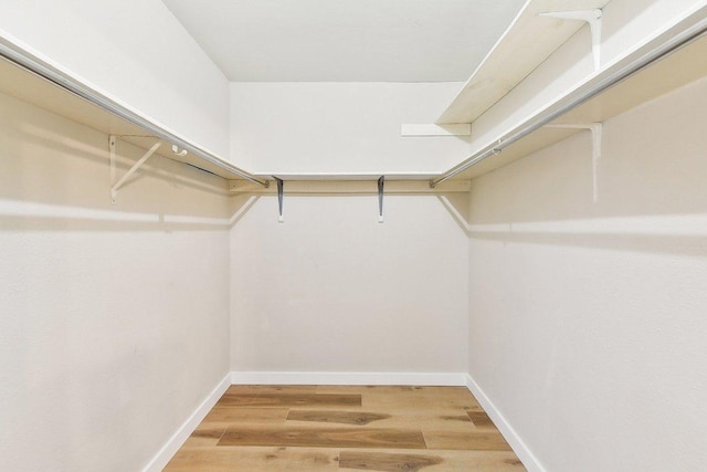 walk in closet featuring light wood-style flooring