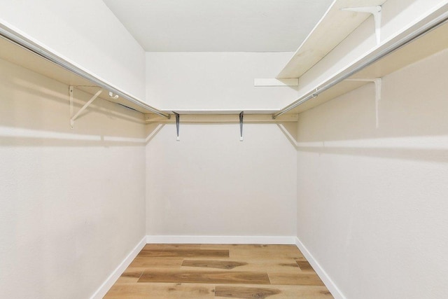 7801 Shoal Creek Blvd Unit 224, Austin, TX 78757 - walk in closet with light wood-type flooring