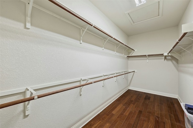 walk in closet with dark wood-style flooring and attic access