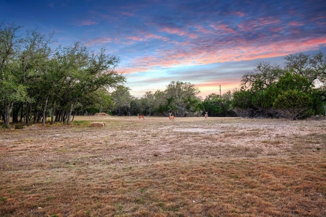 23937 Oscar Rd, Spicewood, TX 78669 - view of yard at dusk