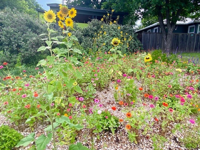 4404 Clarkson Ave, Austin, TX 78751 - view of yard