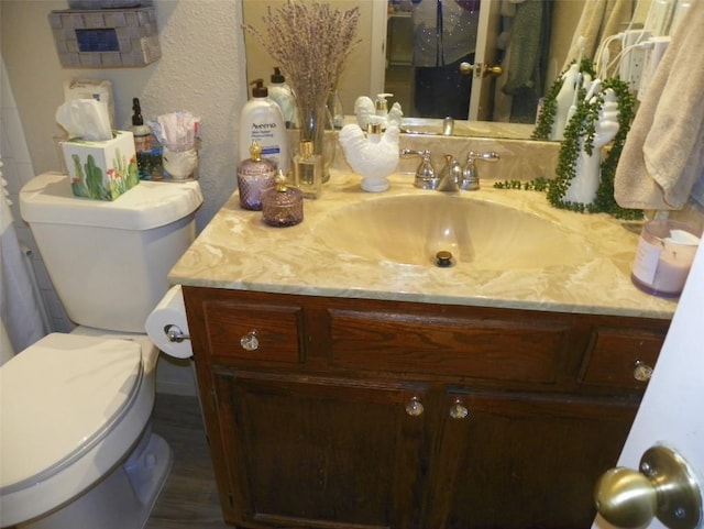 bathroom with toilet and vanity