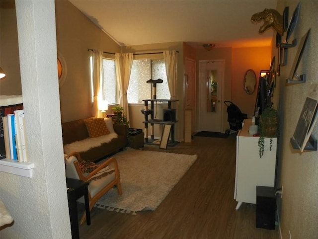 living room featuring lofted ceiling and wood finished floors