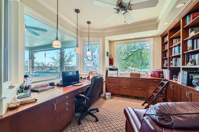 office with light carpet, ornamental molding, and a ceiling fan