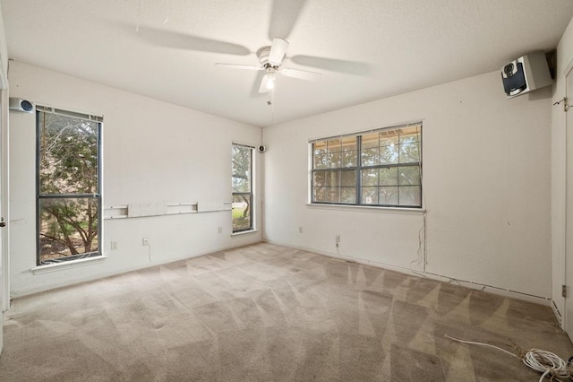 empty room with carpet floors, ceiling fan, and a textured ceiling