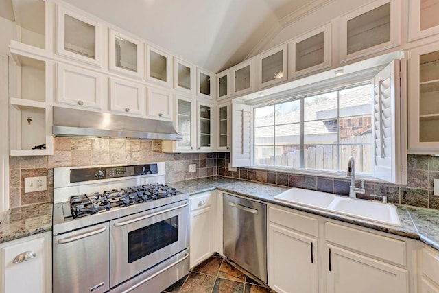 kitchen featuring open shelves, tasteful backsplash, appliances with stainless steel finishes, a sink, and under cabinet range hood