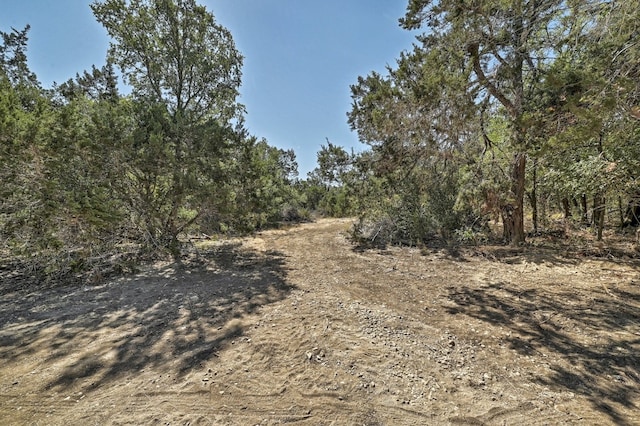 view of landscape