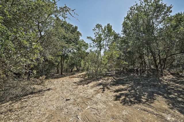 view of landscape