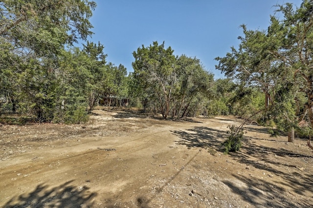 view of local wilderness