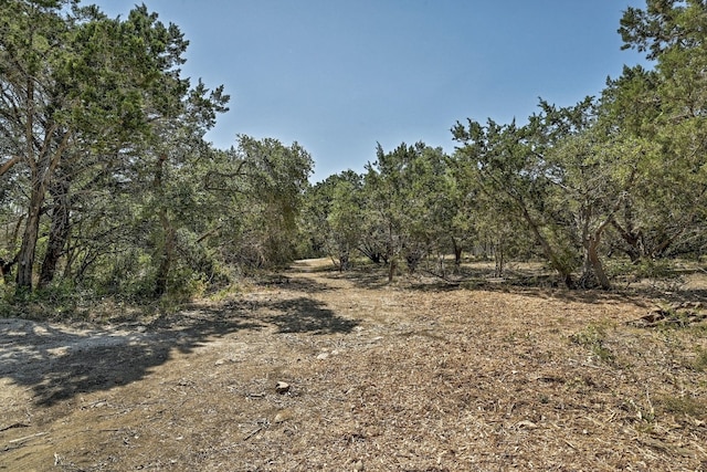 view of local wilderness