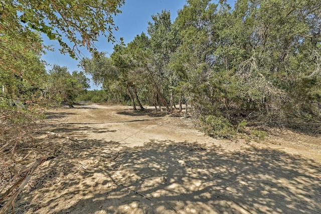 view of local wilderness