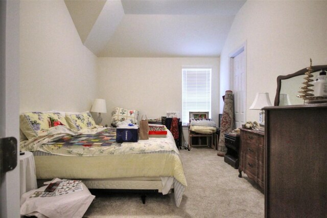 101 Rocky Summit Ct, Spicewood, TX 78669 - photo 15