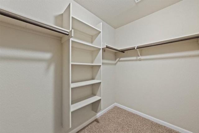 walk in closet with carpet floors