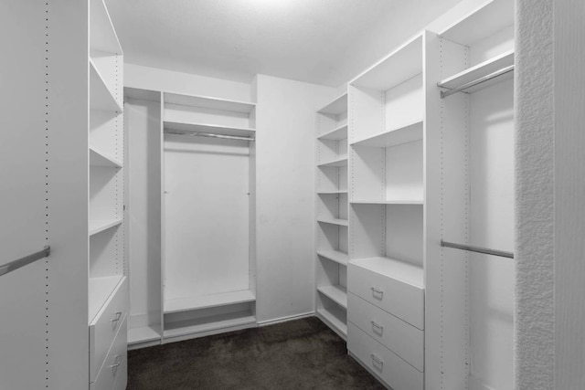 spacious closet with dark colored carpet