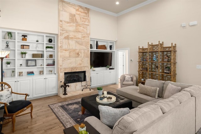 2216 Garden Ct, San Marcos, TX 78666 - living area with crown molding, light wood-style flooring, a high end fireplace, and a high ceiling