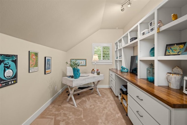 2216 Garden Ct, San Marcos, TX 78666 - office space featuring lofted ceiling and light carpet