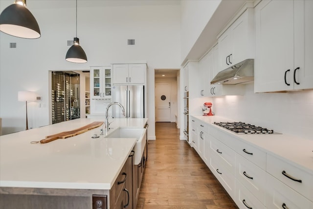 kitchen featuring under cabinet range hood, wood finished floors, white cabinetry, appliances with stainless steel finishes, and glass insert cabinets