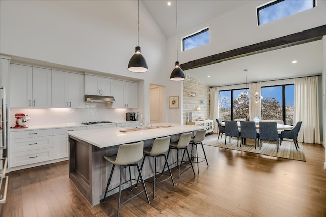 kitchen with under cabinet range hood, a sink, gas stovetop, plenty of natural light, and dark wood finished floors