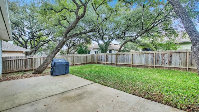 view of yard featuring a patio area and a fenced backyard