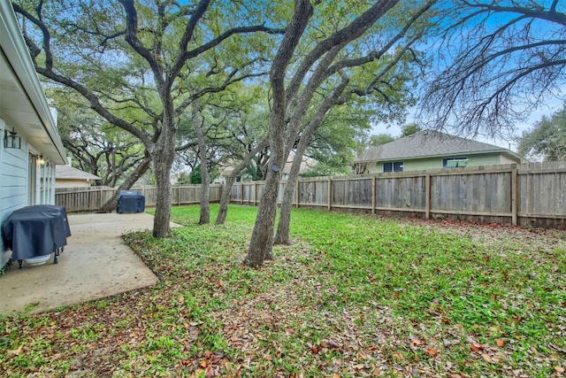 view of yard featuring a patio area and a fenced backyard