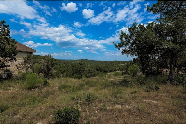 101RONAYDRS S Ronay Dr S, Spicewood TX, 78669 land for sale