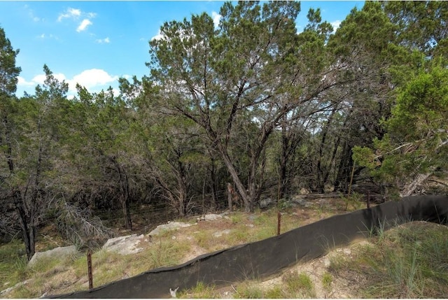 101RONAYDRS S Ronay Dr S, Spicewood, TX 78669 - photo 4