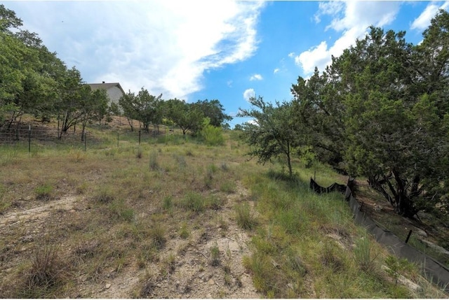 101RONAYDRS S Ronay Dr S, Spicewood, TX 78669 - photo 8