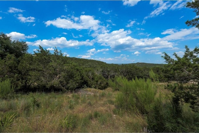 101RONAYDRS S Ronay Dr S, Spicewood, TX 78669 - photo 9
