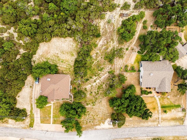 101RONAYDRS S Ronay Dr S, Spicewood, TX 78669 - photo 10