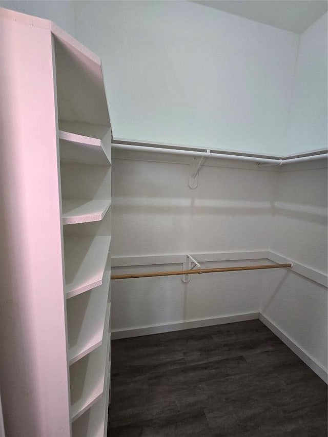 walk in closet featuring dark wood-style flooring