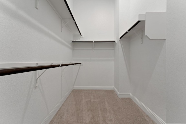 9908 Ephemeral Dr, Manor, TX 78653 - walk in closet with light carpet