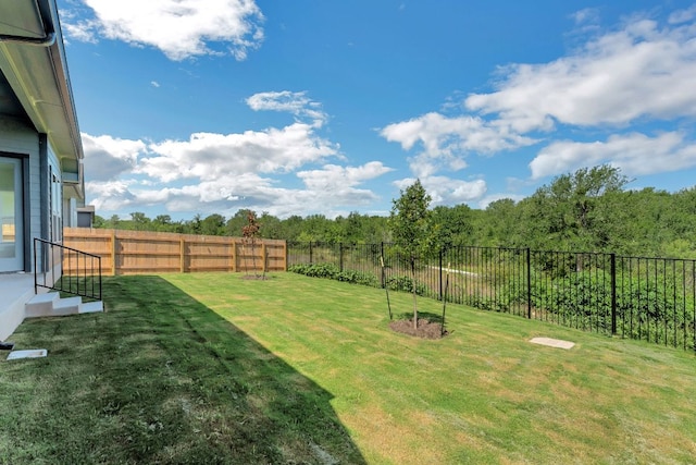 9908 Ephemeral Dr, Manor, TX 78653 - view of fenced backyard