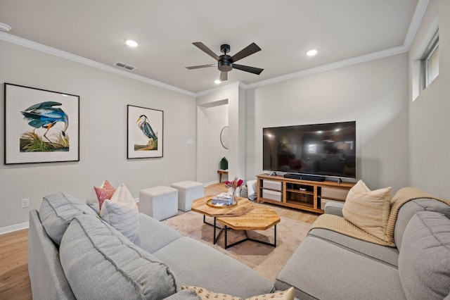 living area featuring crown molding, ceiling fan, visible vents, and light wood-style floors