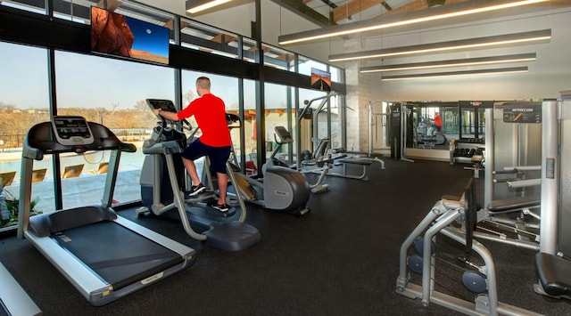 17301 Astral Ln, Manor, TX 78653 - workout area with a towering ceiling