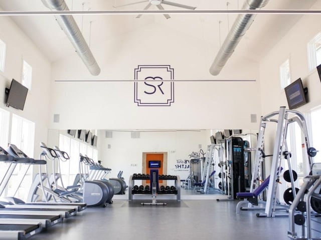 workout area with a towering ceiling