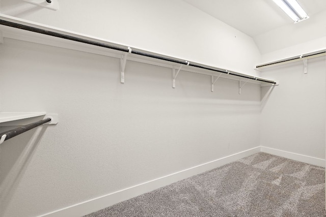 spacious closet with vaulted ceiling and carpet flooring