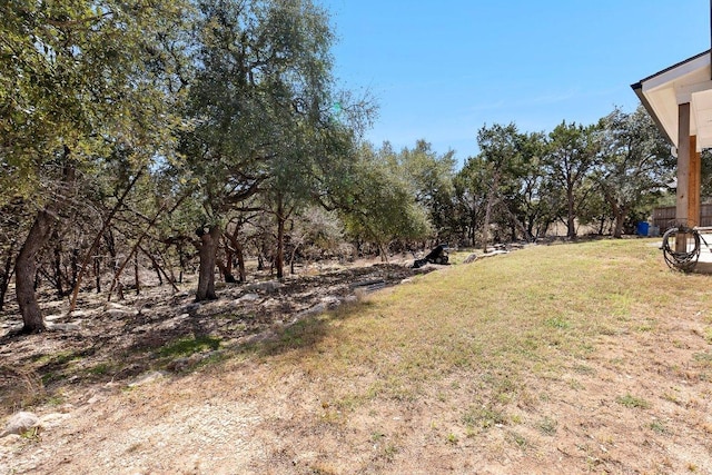 101 Saddle Mtn, Boerne, TX 78006 - view of yard