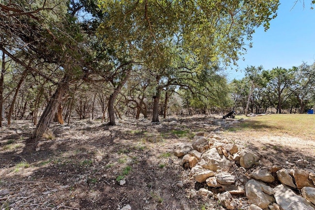 101 Saddle Mtn, Boerne, TX 78006 - view of local wilderness
