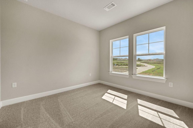 9904 Ephemeral Dr, Manor, TX 78653 - photo 22