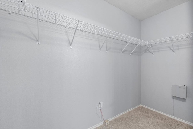 spacious closet with carpet