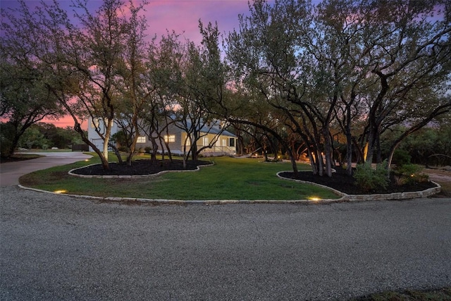 view of front of house featuring driveway and a front lawn