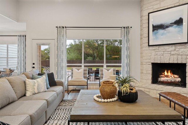 living room featuring a fireplace and wood finished floors