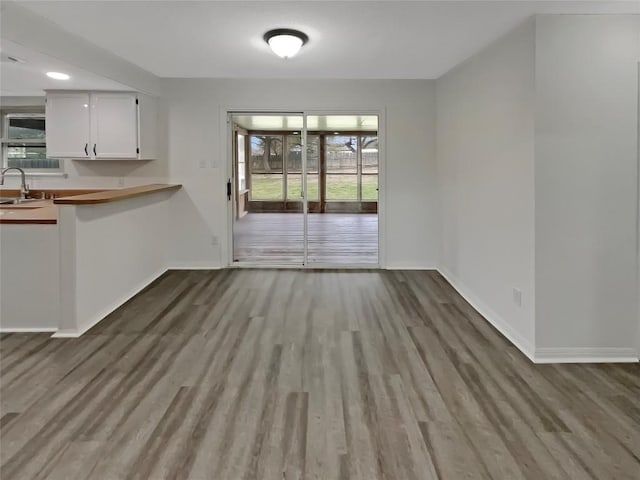 unfurnished dining area with baseboards, a sink, and wood finished floors