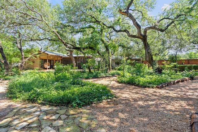 6615 La Concha Pass, Austin, TX 78749 - view of yard